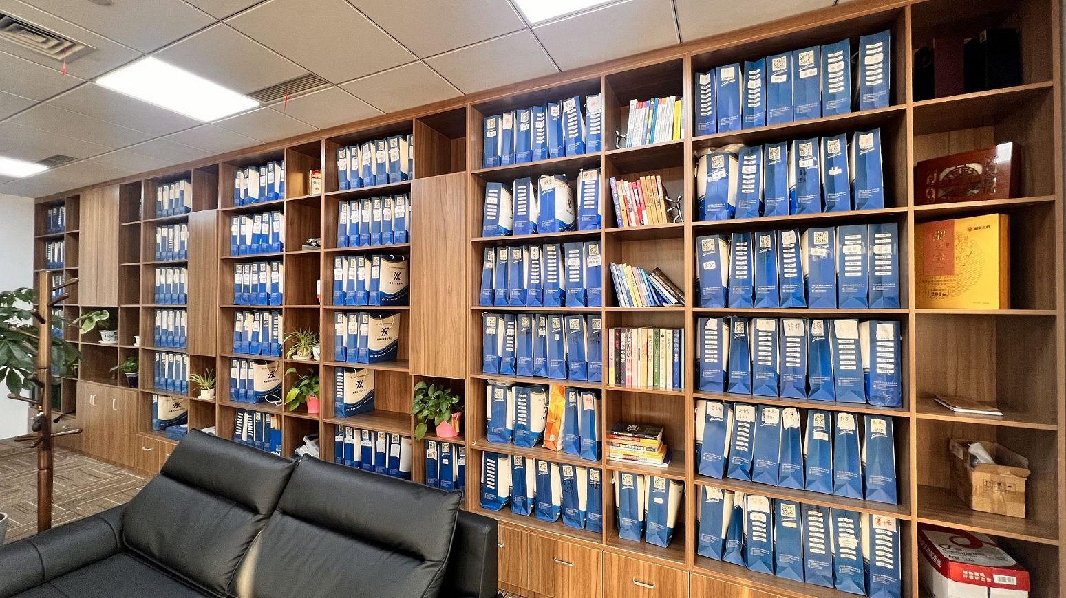 一人有限责任公司的潜在风险