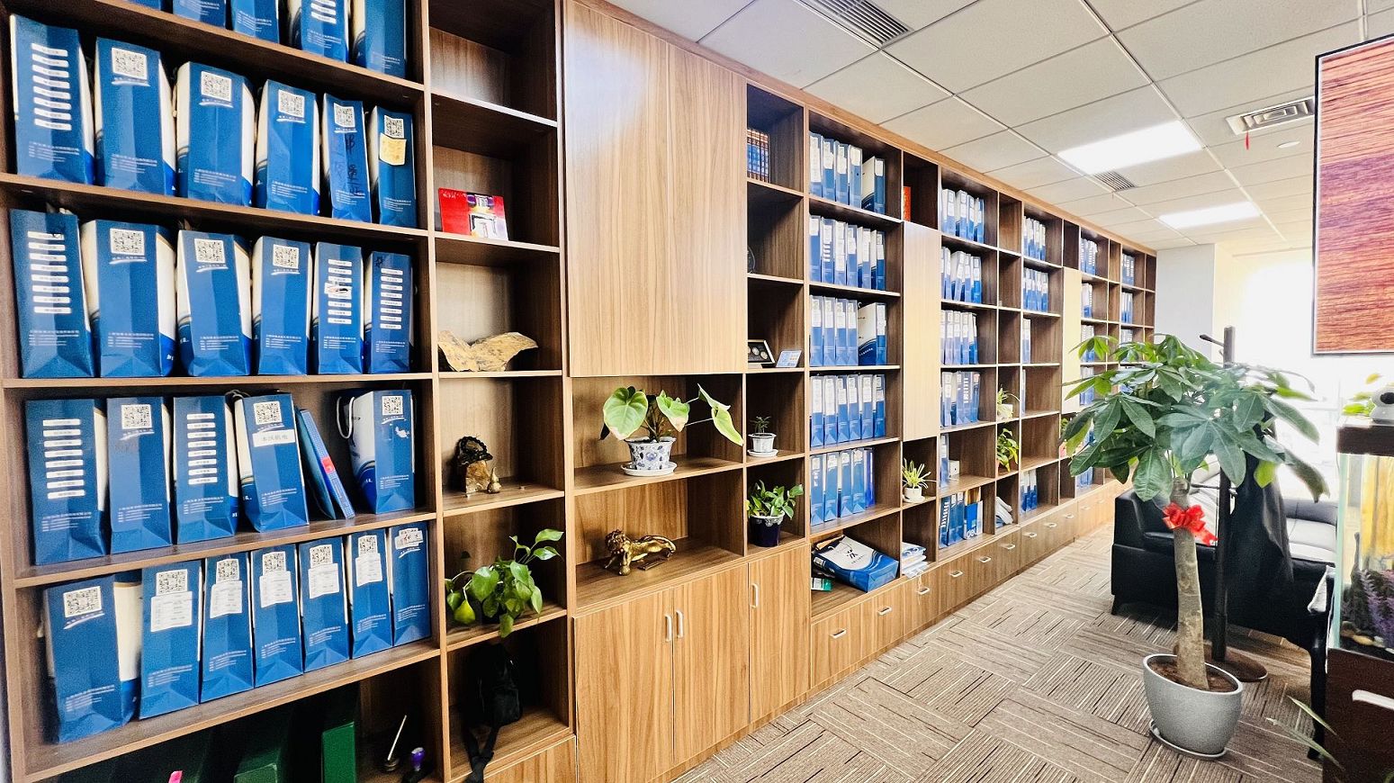 社保费由税务征收后的合规要求是什么？